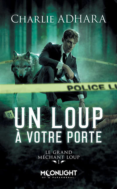 Image du produit 4